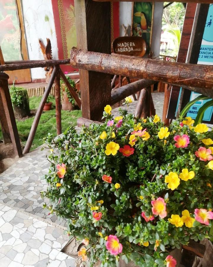 Madera Labrada Lodge Ecologico Тарапото Екстер'єр фото